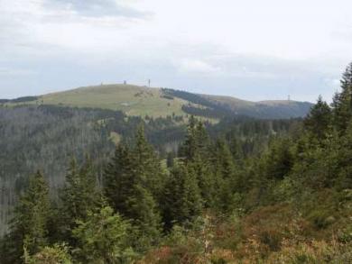 Feldberg